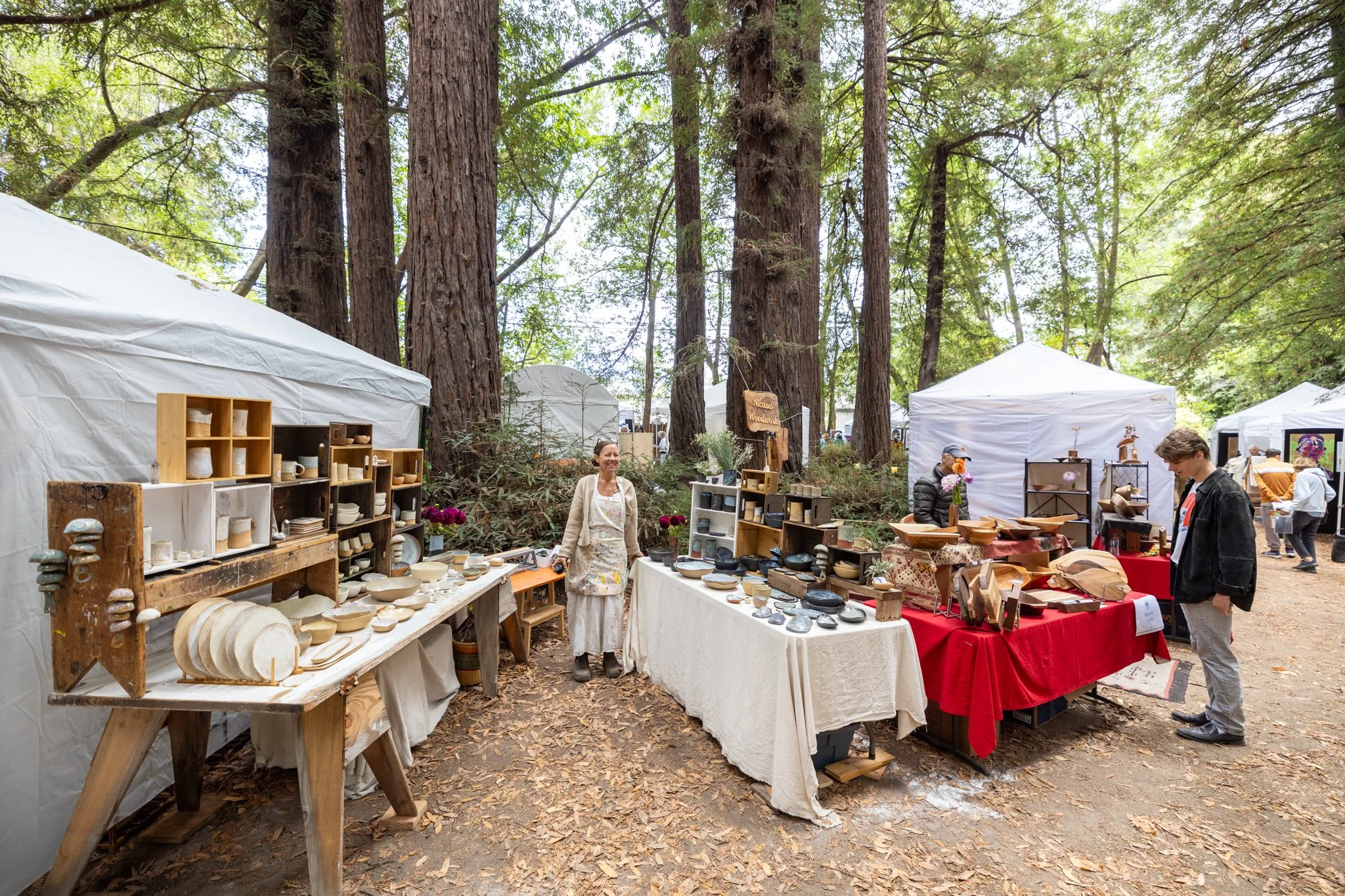 A shopper browsing an artist's booth at the Mill Valley Fall Arts Festival